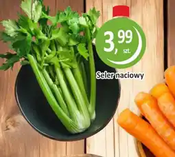 Passa Seler naciowy oferta