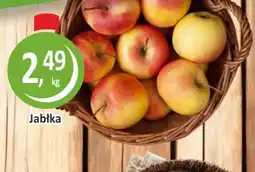 Passa Jabłka oferta
