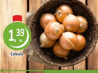 Passa Cebula oferta