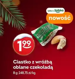 Żabka Ciastko z wróżbą oblane czekoladą oferta