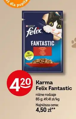 Żabka Karma Felix Fantastic oferta