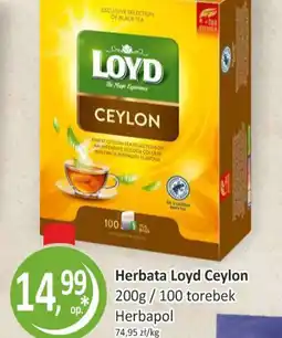 Passa Herbata Loyd Ceylon oferta