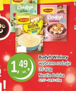 Passa Winiary Budyń oferta