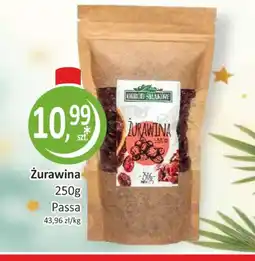 Passa Zurawina Passa oferta