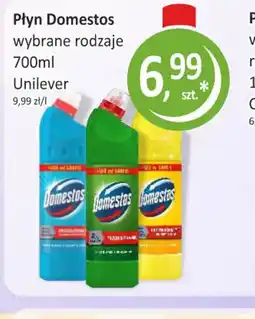 Passa Płyn Domestos oferta