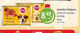 Passa Pedigree saszetka oferta