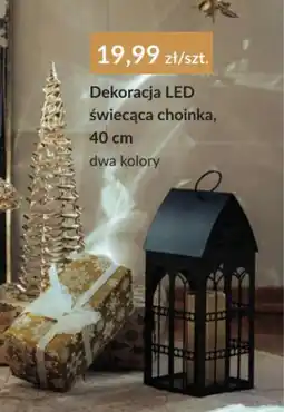 Agata Meble Dekoracja LED oferta