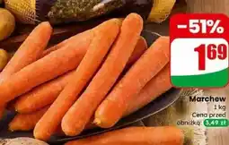 Dino Marchew Dino oferta