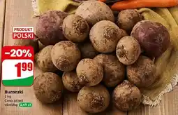 Dino Buraczki Dino oferta