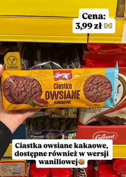 Dino Ciastka owsiane kakaowe Bergen oferta