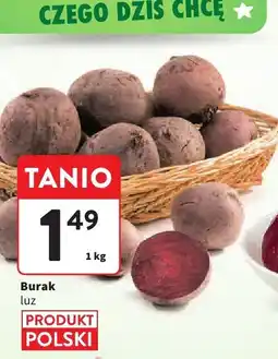 Intermarche Burak Intermarche oferta