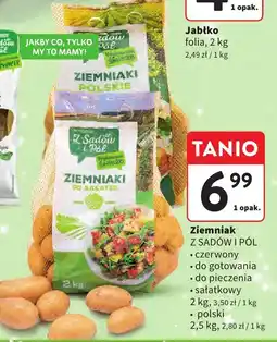 Intermarche Ziemniak Z SADÓW I PÓL polski Z Sadów i Pól oferta