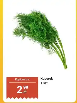 Biedronka Koperek 1 szt. Biedronka oferta