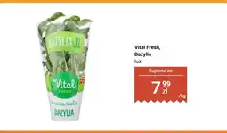 Biedronka Bazylia luz Vital Fresh oferta