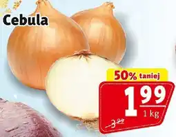 Prim Market Cebula Cebula Prim Market oferta