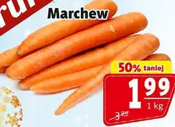 Prim Market Marchew Marchew oferta