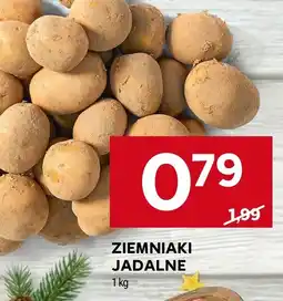 Stokrotka Ziemniaki jadalne Stokrotka oferta