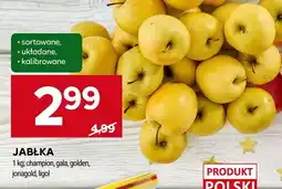 Stokrotka Jabłka champion, gala, golden, jonagold, ligol Stokrotka oferta