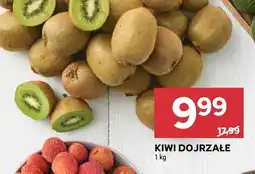 Stokrotka Kiwi dojrzałe Stokrotka oferta