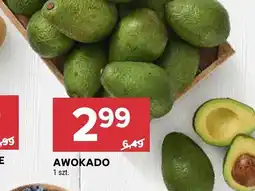 Stokrotka Awokado Stokrotka oferta