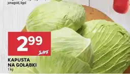 Stokrotka Kapusta na gołąbki Stokrotka oferta