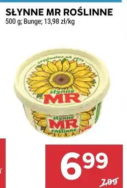 Stokrotka Słynne mr roślinne Bunge oferta