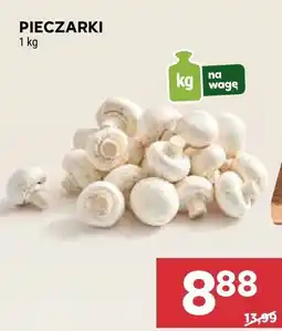 Stokrotka Pieczarki Stokrotka oferta