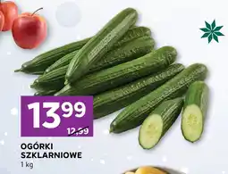 Stokrotka Jabłka Champion, Jonagold Stokrotka oferta