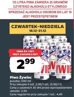 Netto Piwo Żywiec oferta