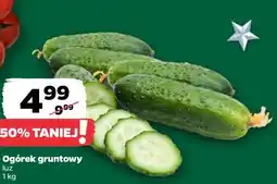 Netto Ogórek gruntowy oferta