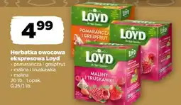 Netto Herbata owocowa ekspresowa Lody oferta
