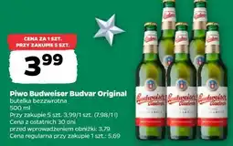 Netto Piwo Budweiser Budvar Original oferta