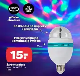 Netto Żarówka disco oferta