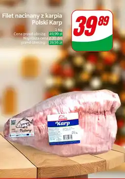 Dino Filet nacinany z karpia Polski Karp oferta
