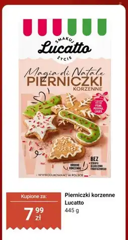 Dino Pierniczki korzenne Lucatto oferta