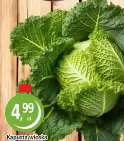 Passa Kapusta włoska oferta