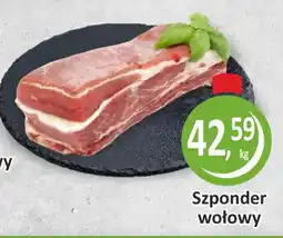 Passa Szponder wołowy oferta