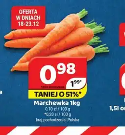 Delfin Marchewka oferta