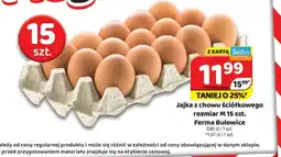 Delfin Ferma Bułowice Jajka oferta