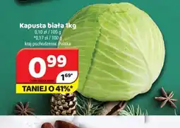 Delfin Kapusta biała oferta