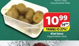 Delfin Kiwi kosz oferta