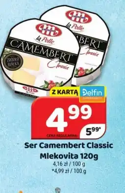 Delfin Mlekovita Ser Camembert oferta