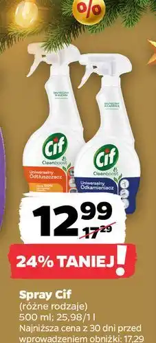 Netto Odkamieniacz uniwersalny Cif Cleanboost oferta