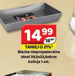 Delfin Ideal blacha nieprzywieralna oferta