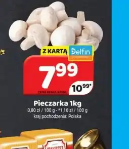 Delfin Pieczarka oferta