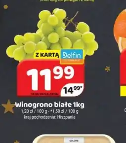 Delfin Winogrono białe oferta