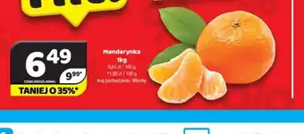 Delfin Mandarynka oferta