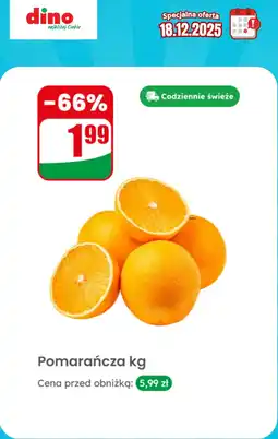 Dino Pomarańcza Dino oferta