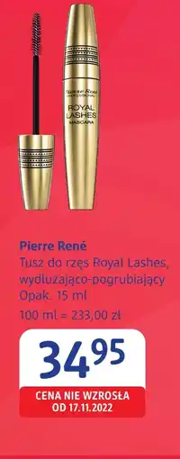 dm drogerie markt Tusz do rzęs Pierre Rene oferta