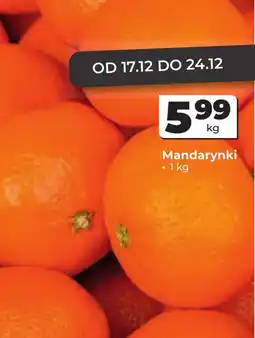 Odido Mandarynki oferta